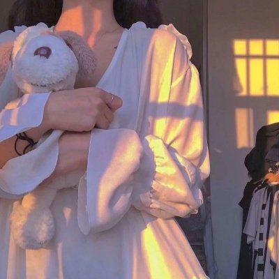 宫本武藏：双剑飞驰之梦 海报